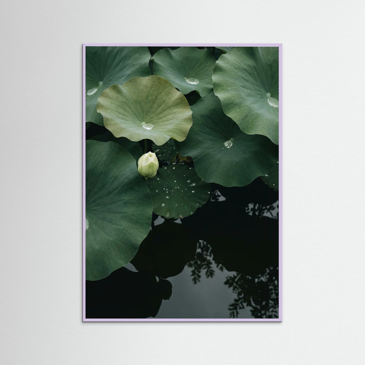 Lilac Wood Pond Stillness