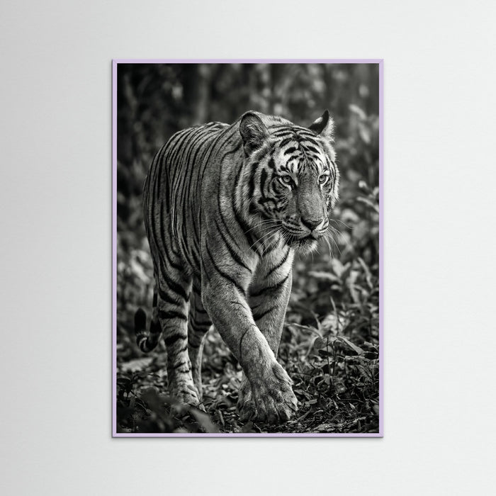 Lilac Wood Regal Gaze