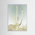 SAGUARO NATIONAL PARK Vintage Giant Saguaro -juliste – juliste ja taidepainatus