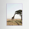 Lilac Wood Savanna Horizon