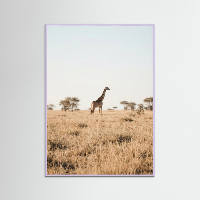 Lilac Wood Savannah Solitude
