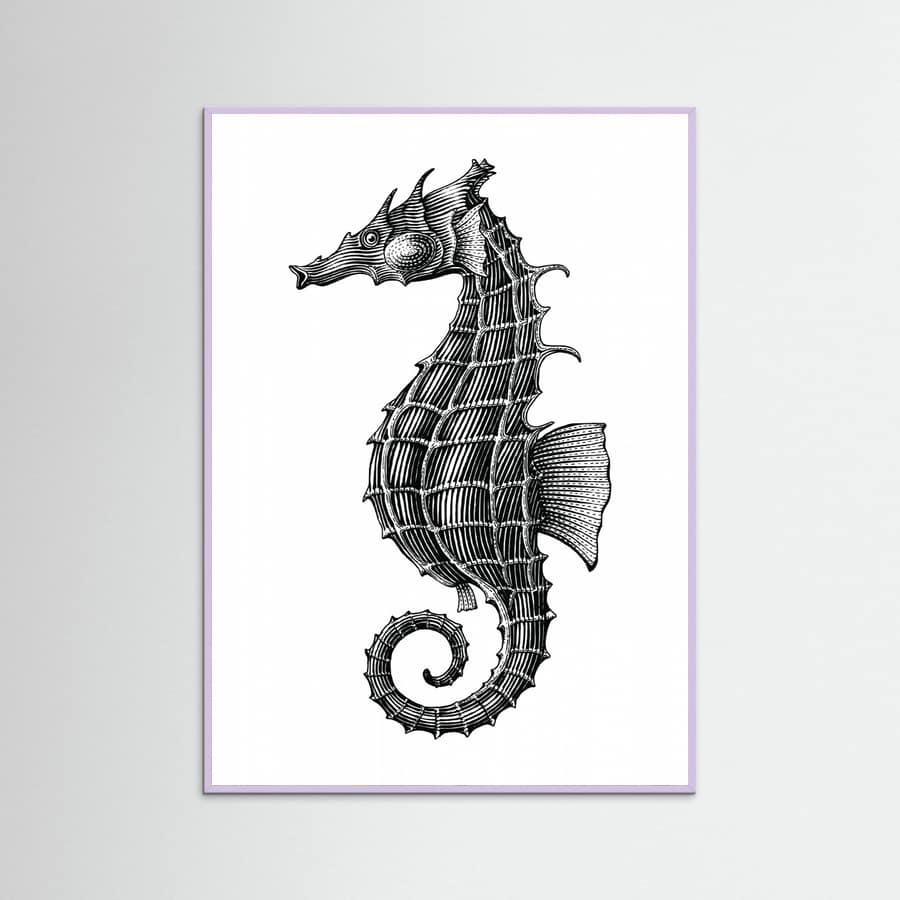 Affiche Seahorse – affiche et impression d’art