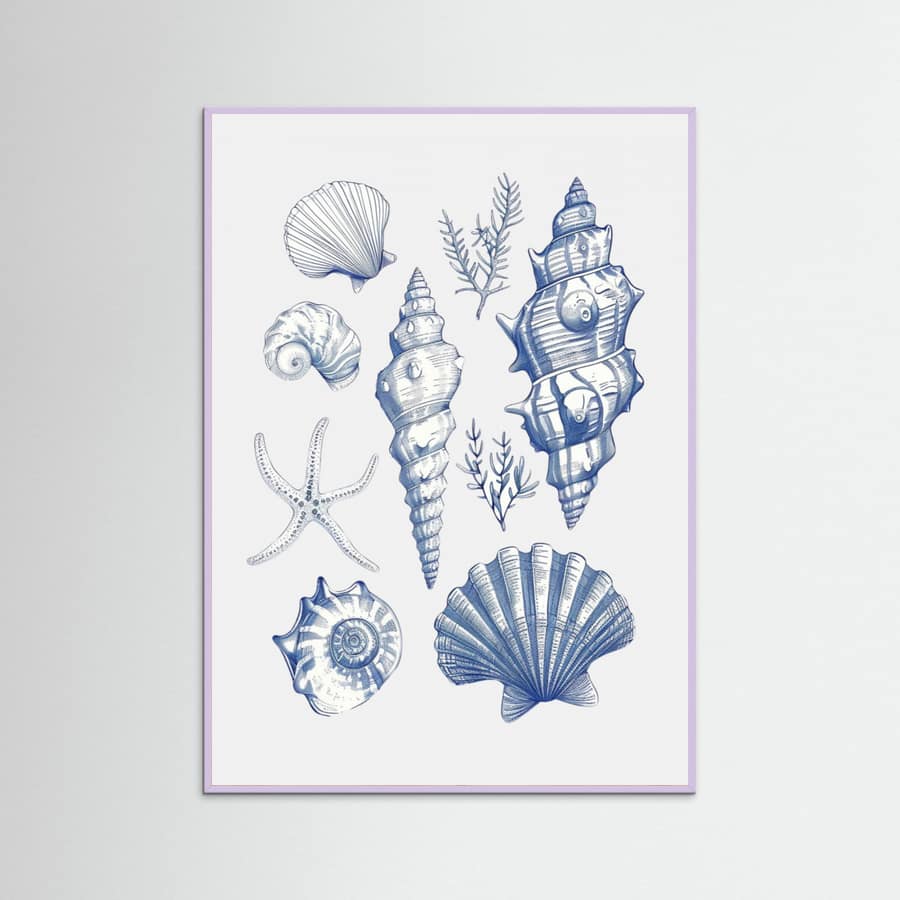Plakat Shell Collage – plakat i druk artystyczny