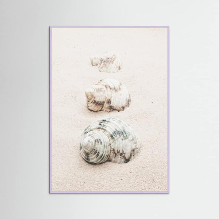 Poster Shells – poster e stampa artistica