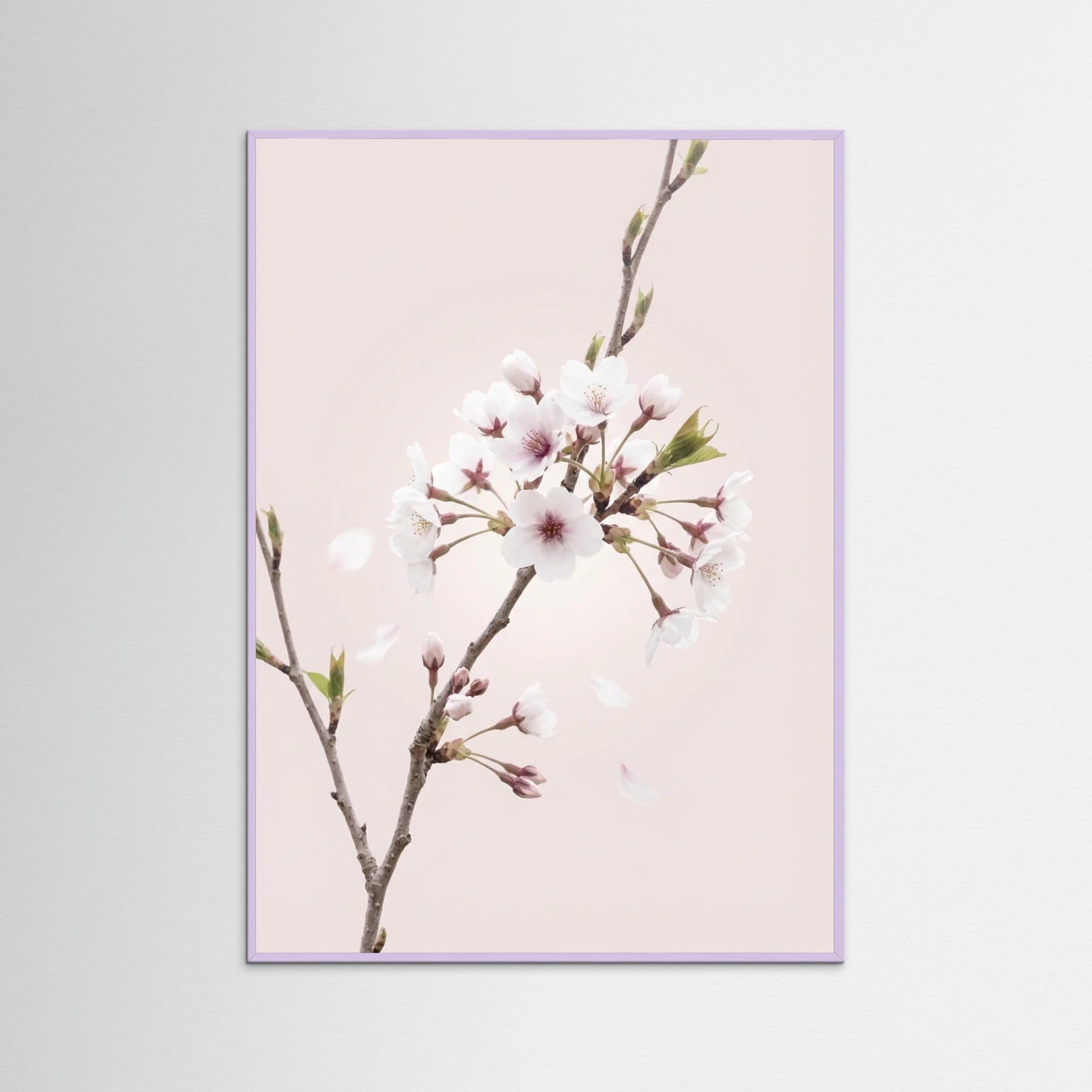 Lilac Wood Soft Bloom