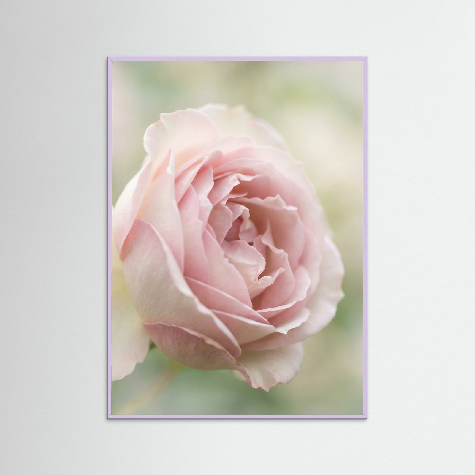 Lilac Wood Soft Bloom