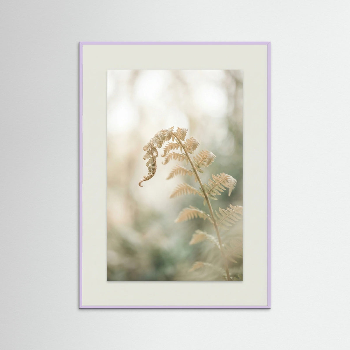 Lilac Wood Soft Petals Whispers