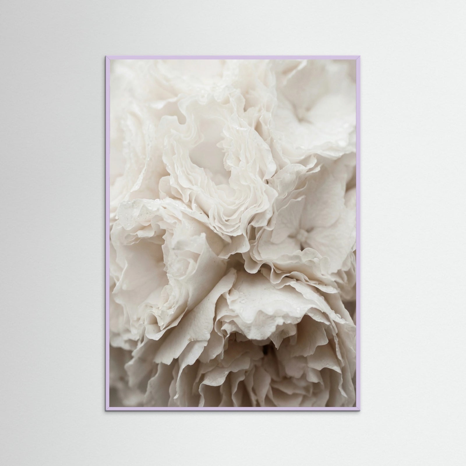 Lilac Wood Soft Petals