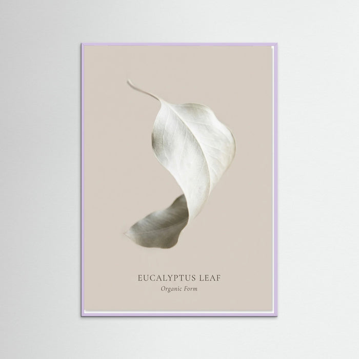 Lilac Wood Soft Radiance