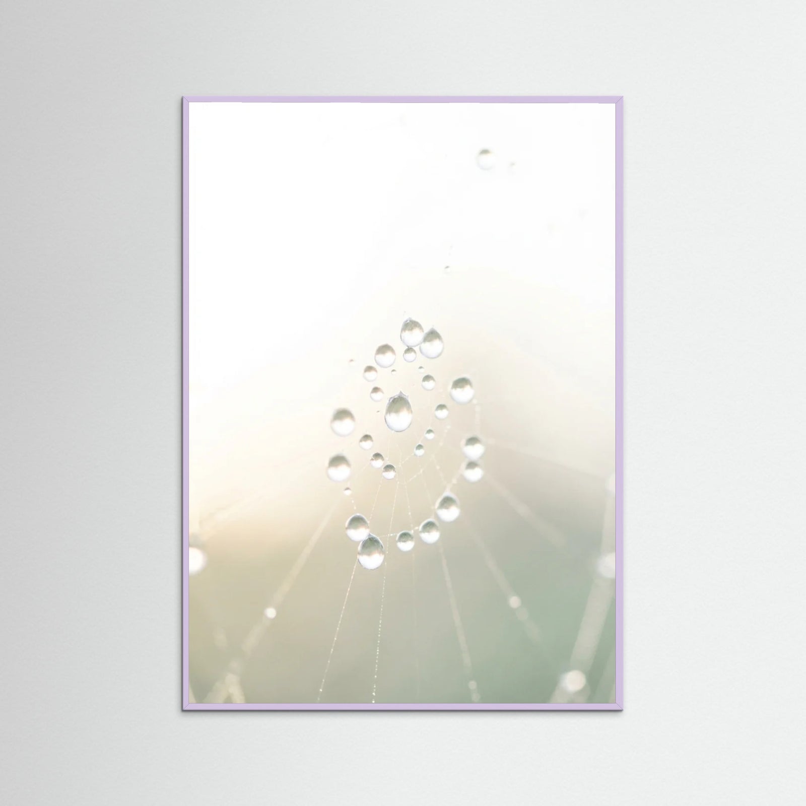 Lilac Wood Soft Whisper