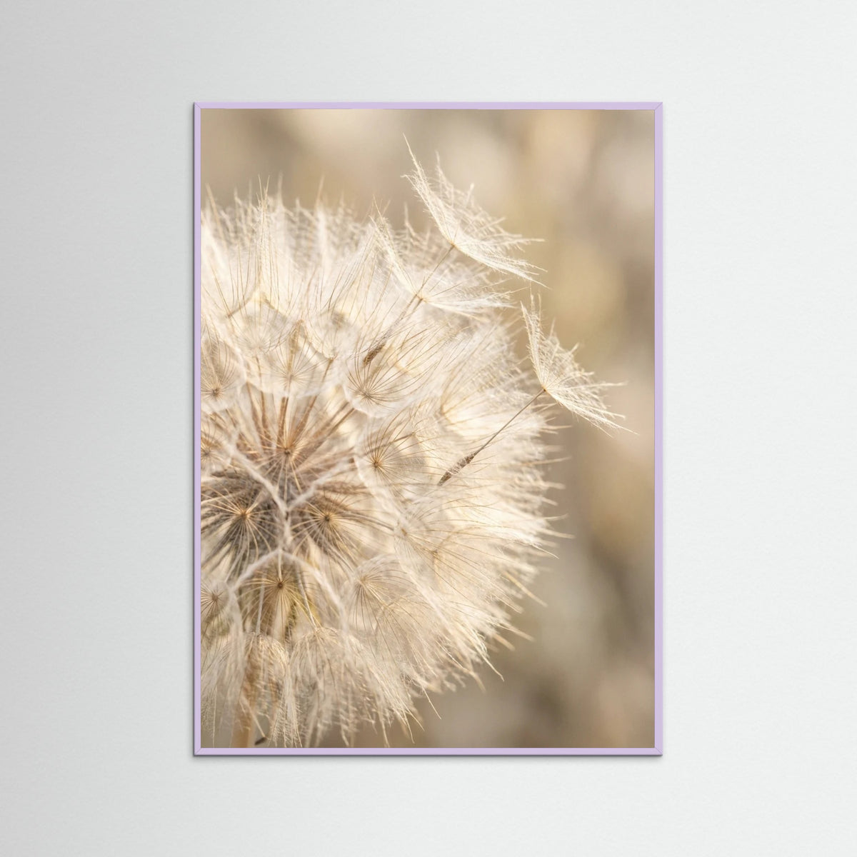 Lilac Wood Soft Whisper