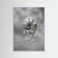 Lilac Wood Solitary Bloom