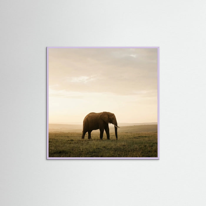 Lilac Wood Square Golden Savannah Solitude