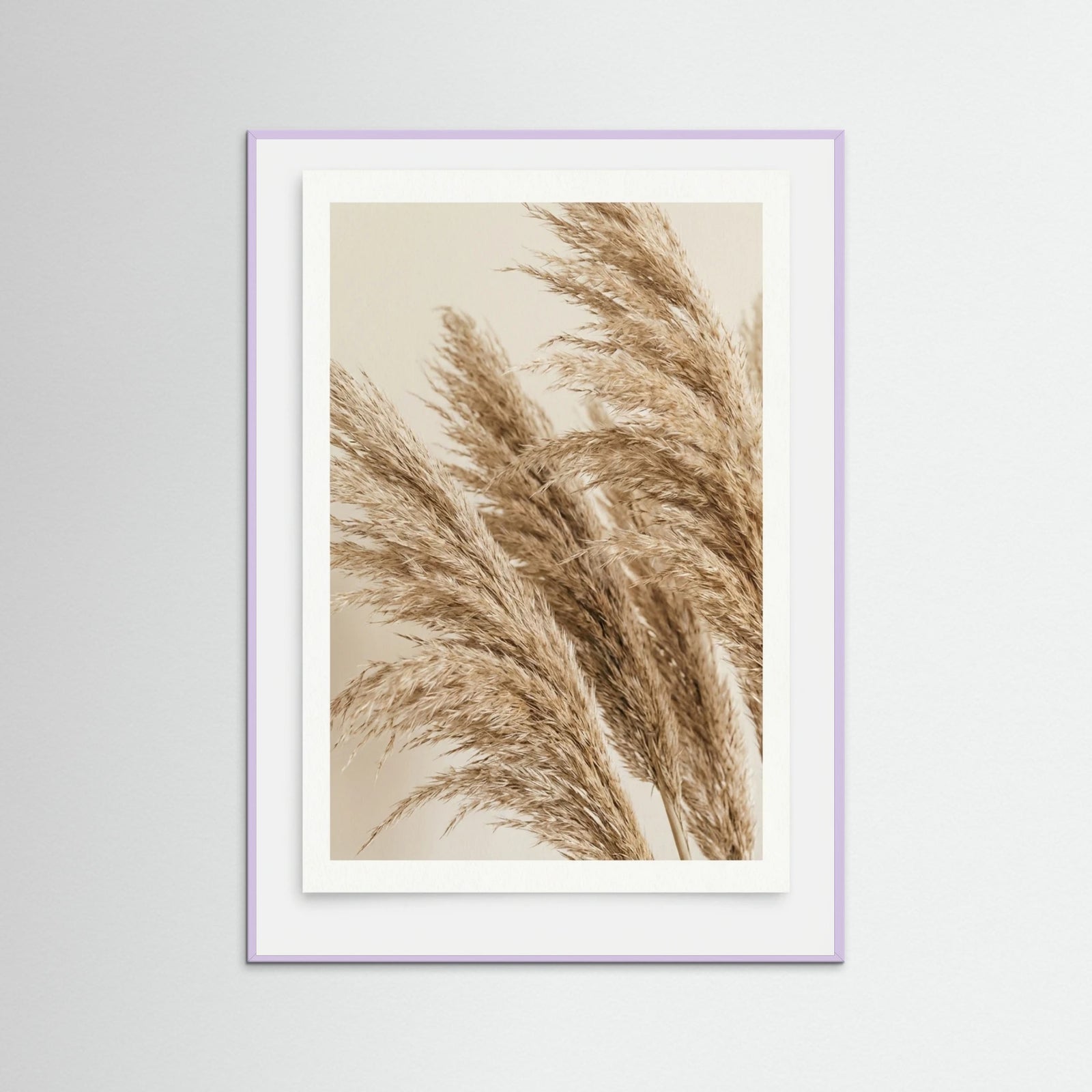 Lilac Wood Sunlit Frond