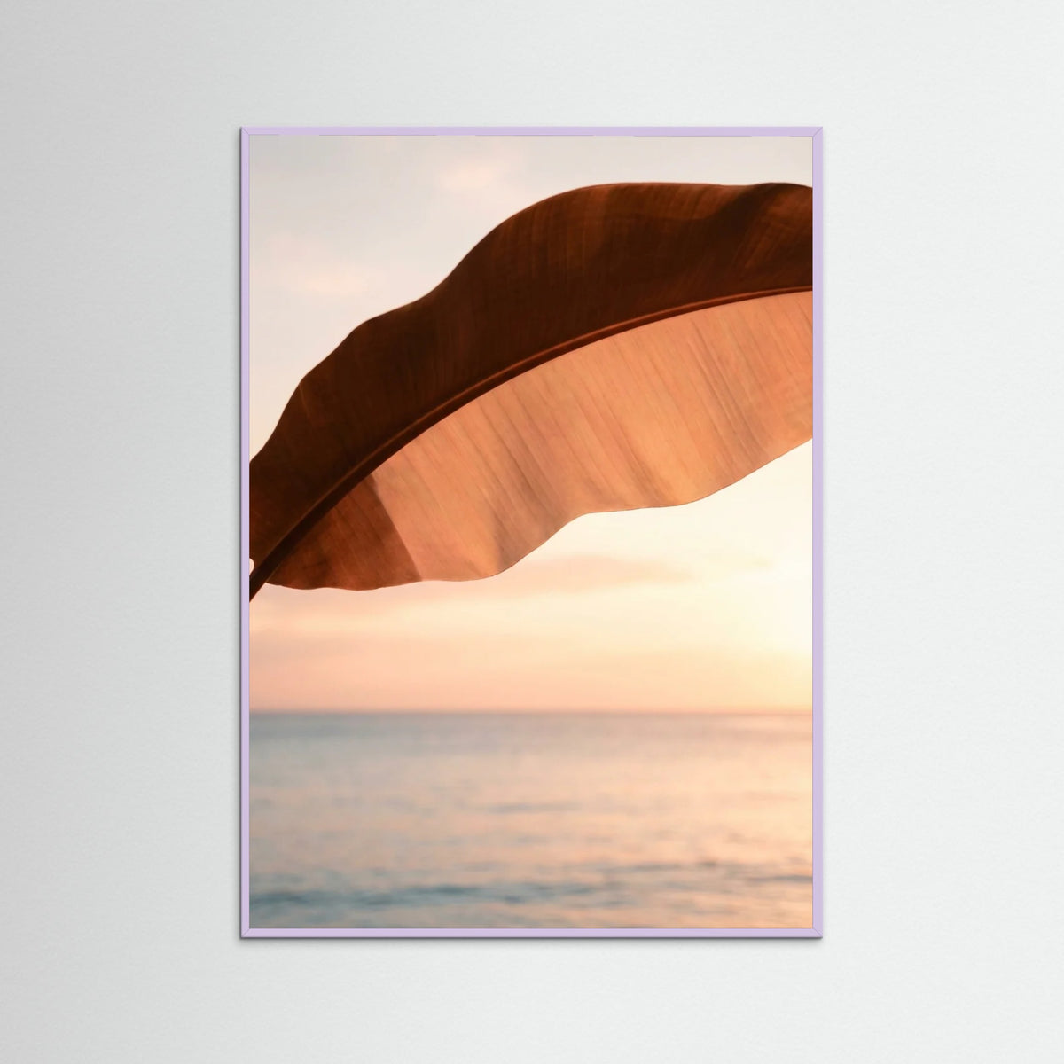 Lilac Wood Sunset Frond