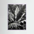 Lilac Wood Tropical Canopy