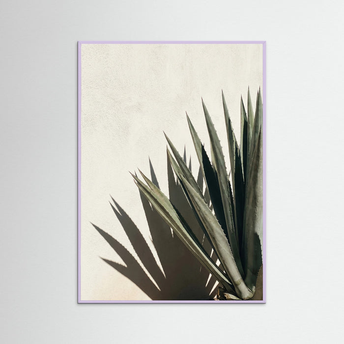 Lilac Wood Tropical Shadows