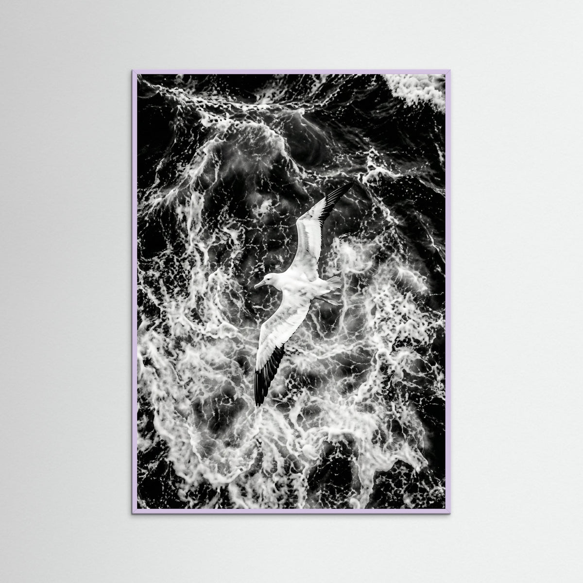 Lilac Wood Turbulent Flight