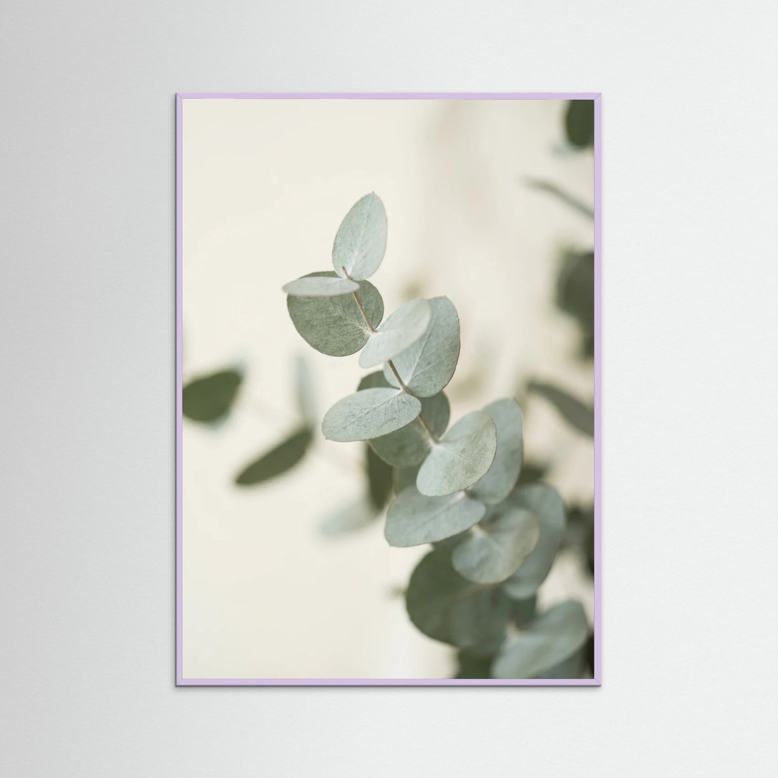 Lilac Wood Verdant Calm