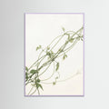 Lilac Wood Verdant Calm