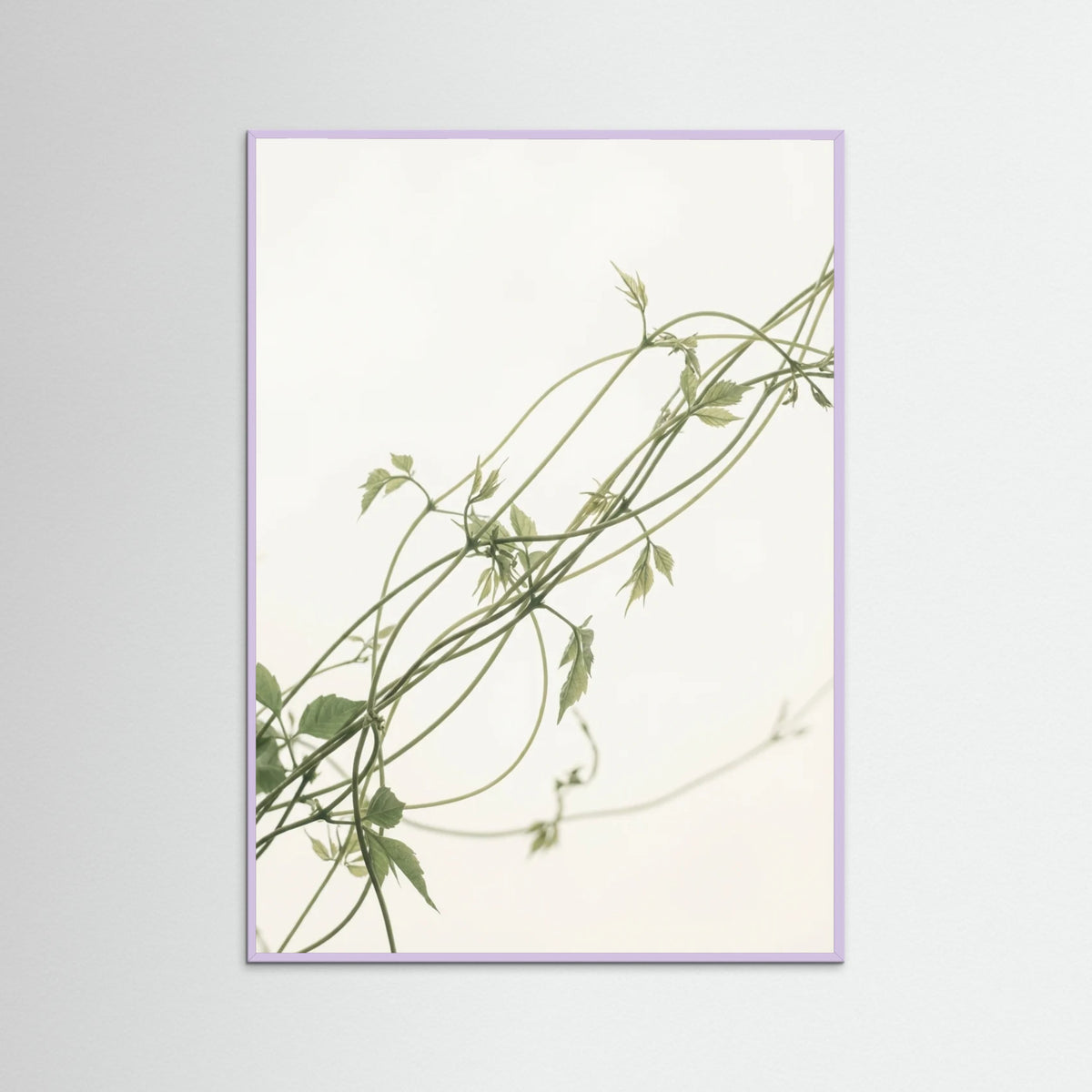 Lilac Wood Verdant Calm