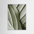 Lilac Wood Verdant Folds