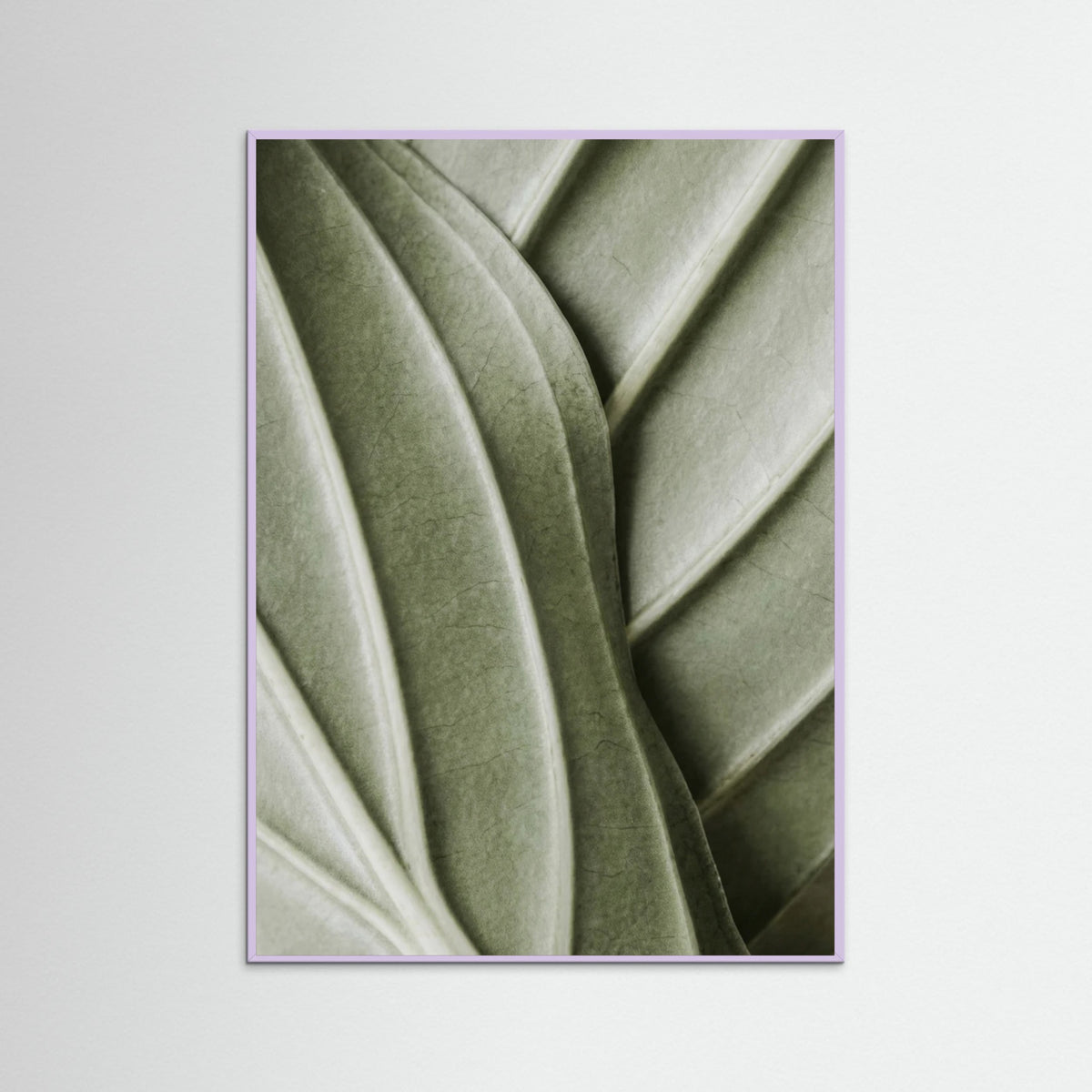 Lilac Wood Verdant Folds