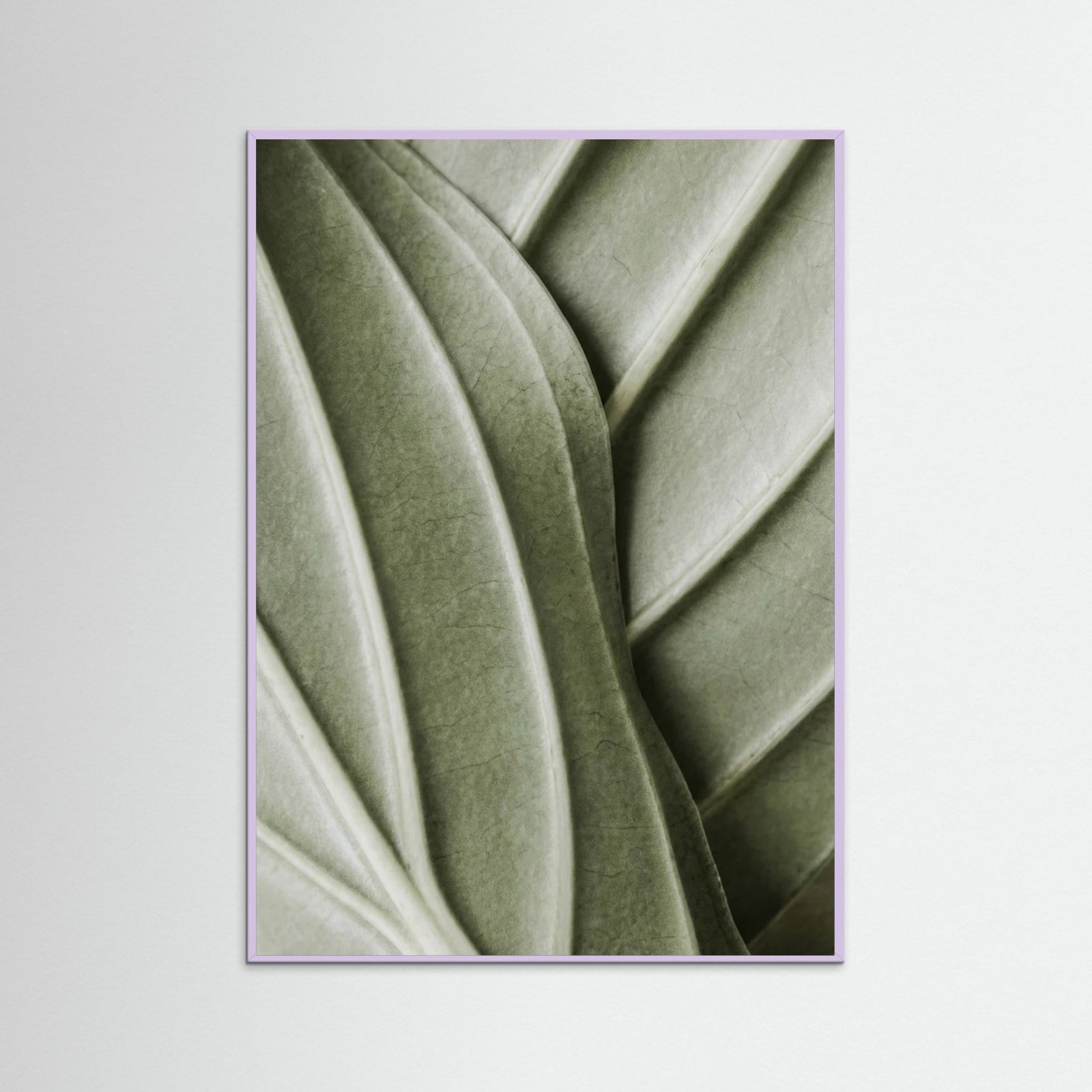 Lilac Wood Verdant Folds