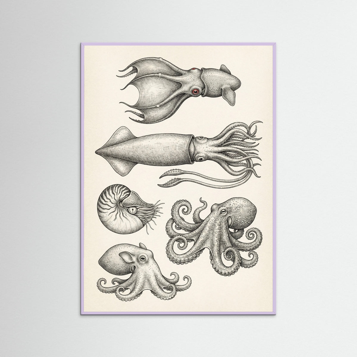 Lilac Wood Vintage Shark Study