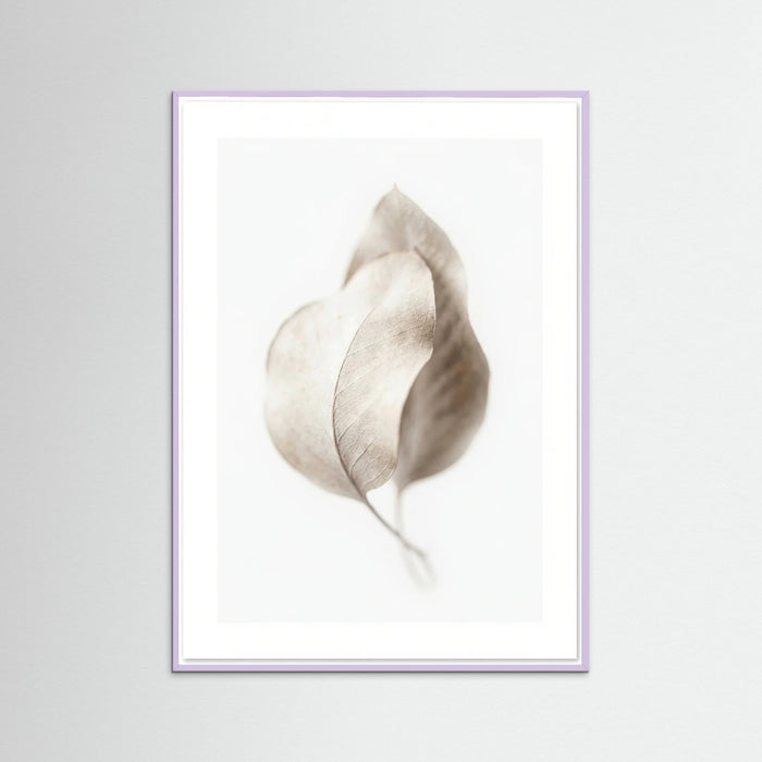 Lilac Wood Whispering Plumes