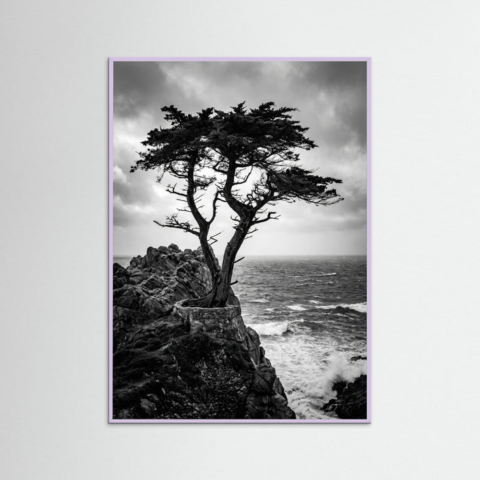Lilac Wood Windblown Grace