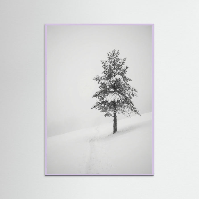 Lilac Wood Winter Ascent