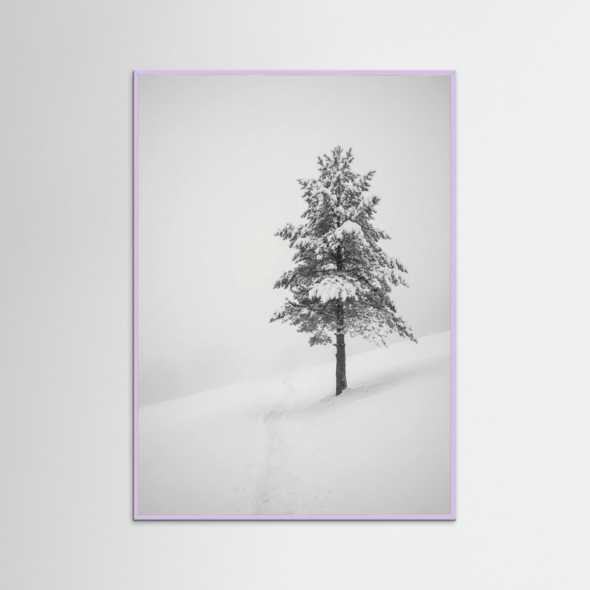 Lilac Wood Winter Ascent