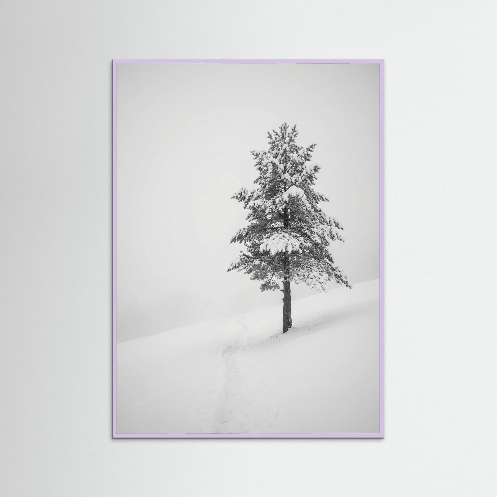 Lilac Wood Winter Ascent