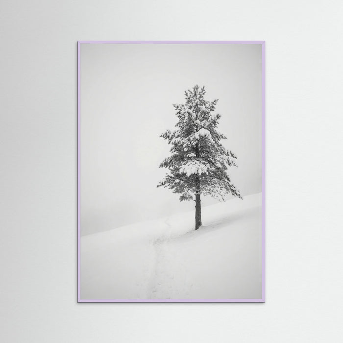 Lilac Wood Winter Ascent