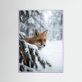 Lilac Wood Winter Stag