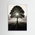 Lilac Wood photo Sunlit Tree