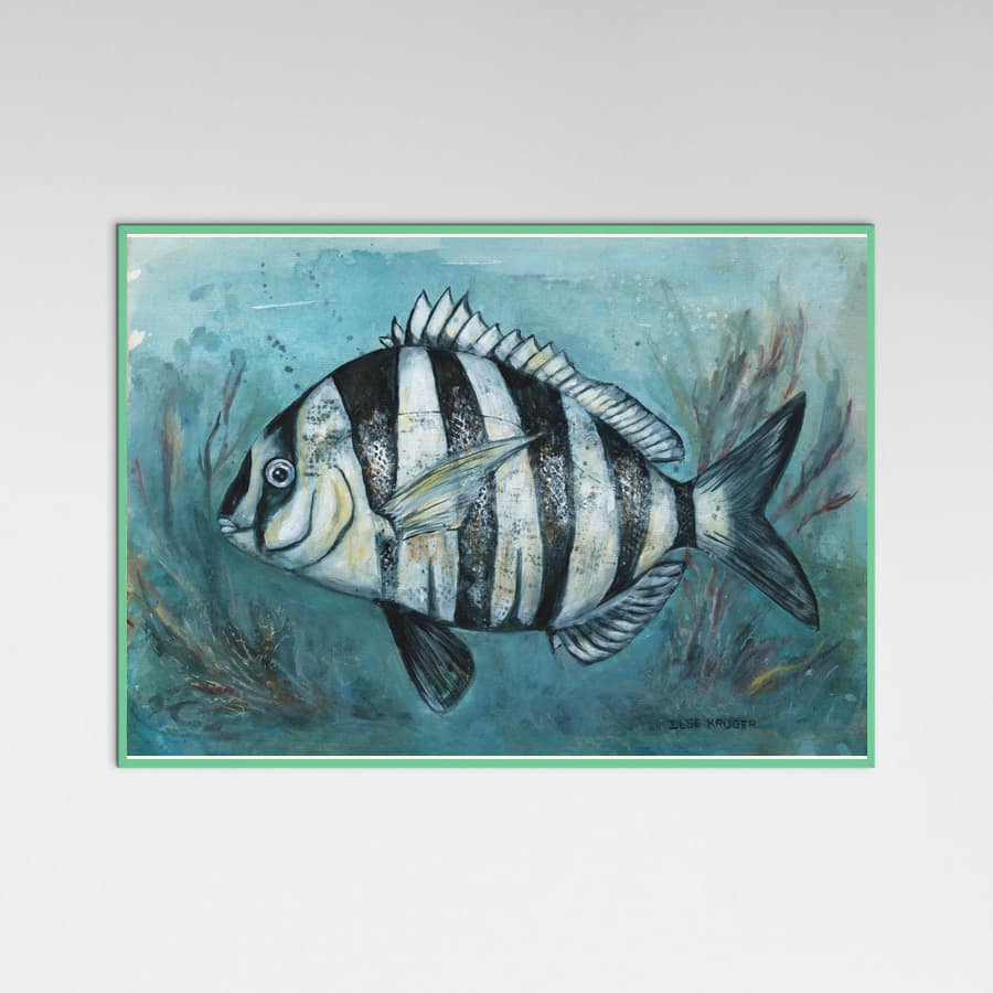 240 Zebra Master Poster – Poster und Kunstdruck