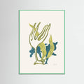 Poster Algae No2 – poster e stampa artistica