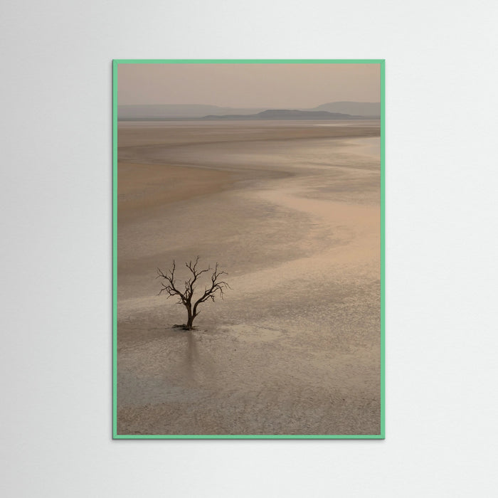 Mint Wood Arid Horizon