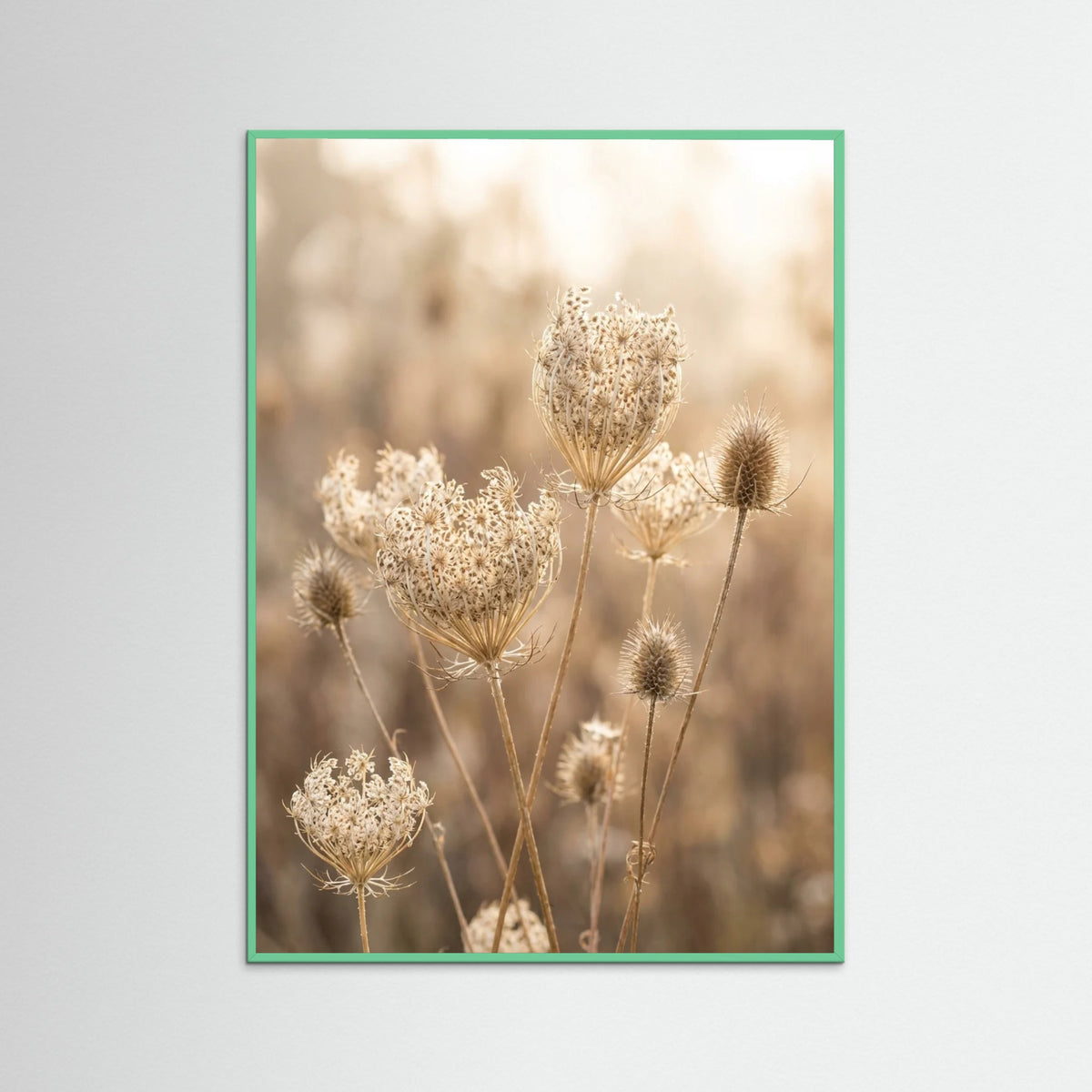 Mint Wood Autumn Whispers