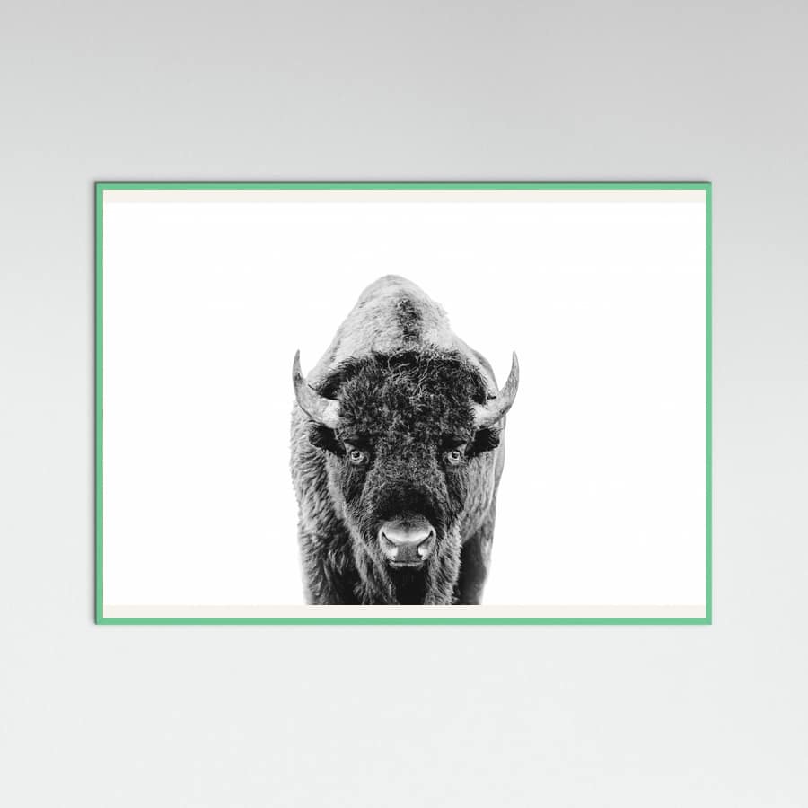 Póster Bison Bw – póster e impresión artística