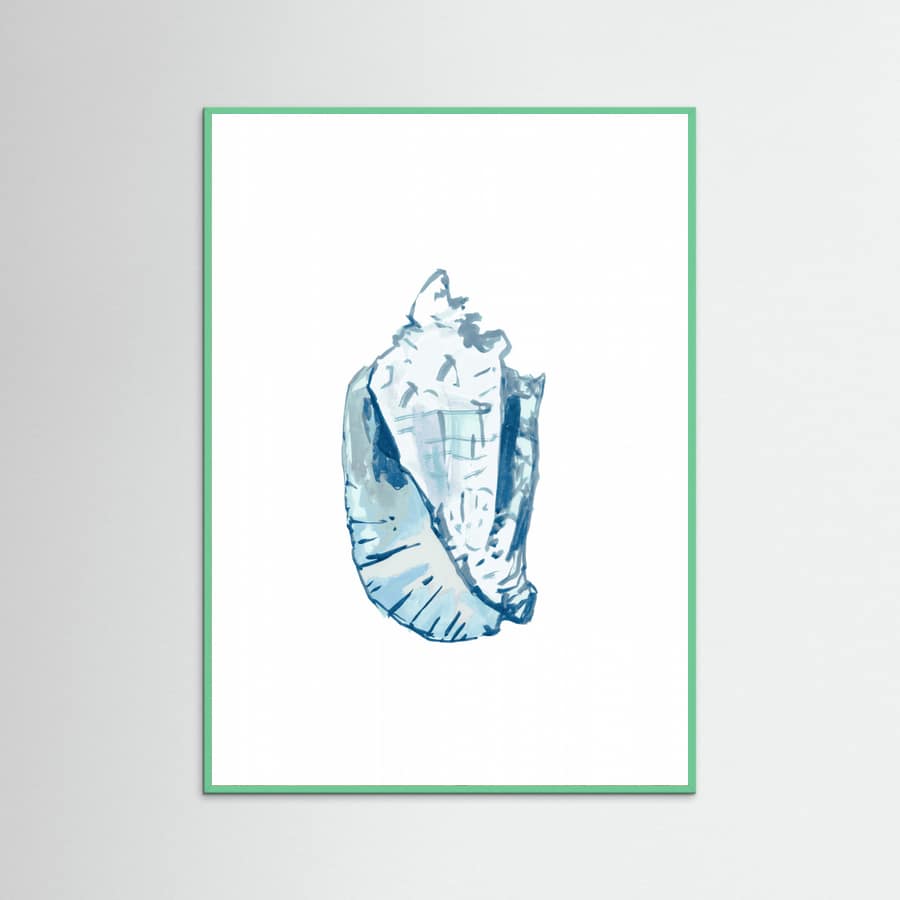 Blue Seashell On White Background No6 Poster – plakat og kunsttryk