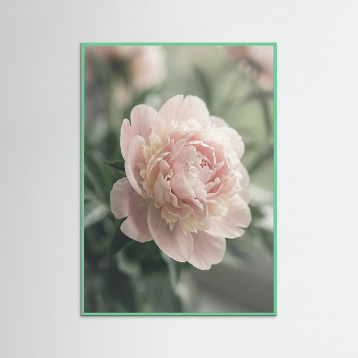 Mint Wood Blush Dahlia