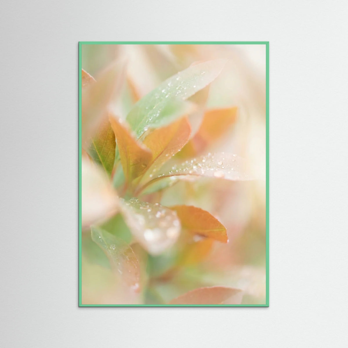 Mint Wood Blushing Bloom