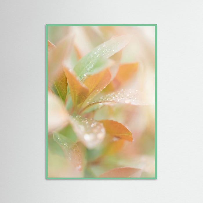 Mint Wood Blushing Bloom