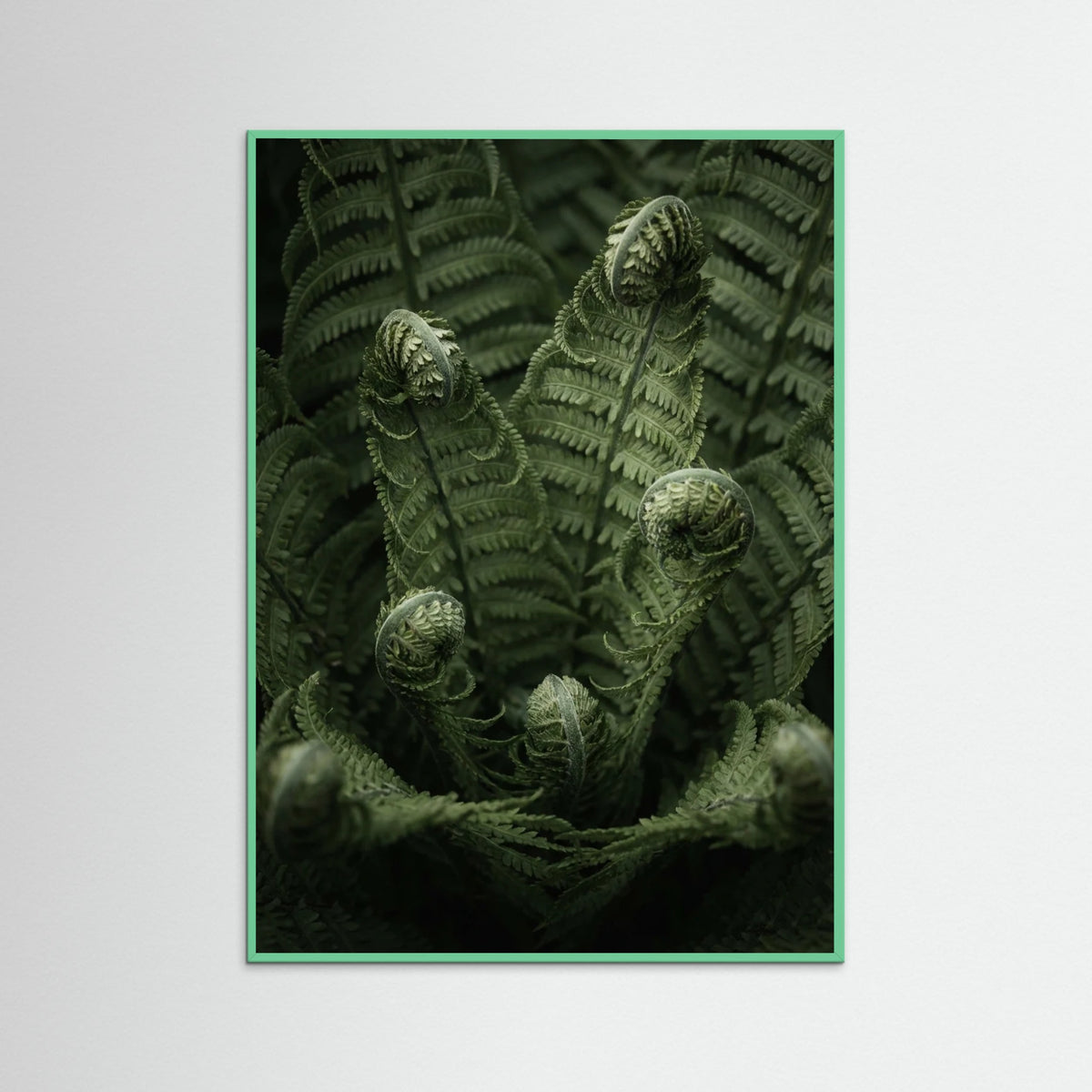 Mint Wood Botanical Depths