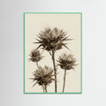 Mint Wood Botanical Elegance