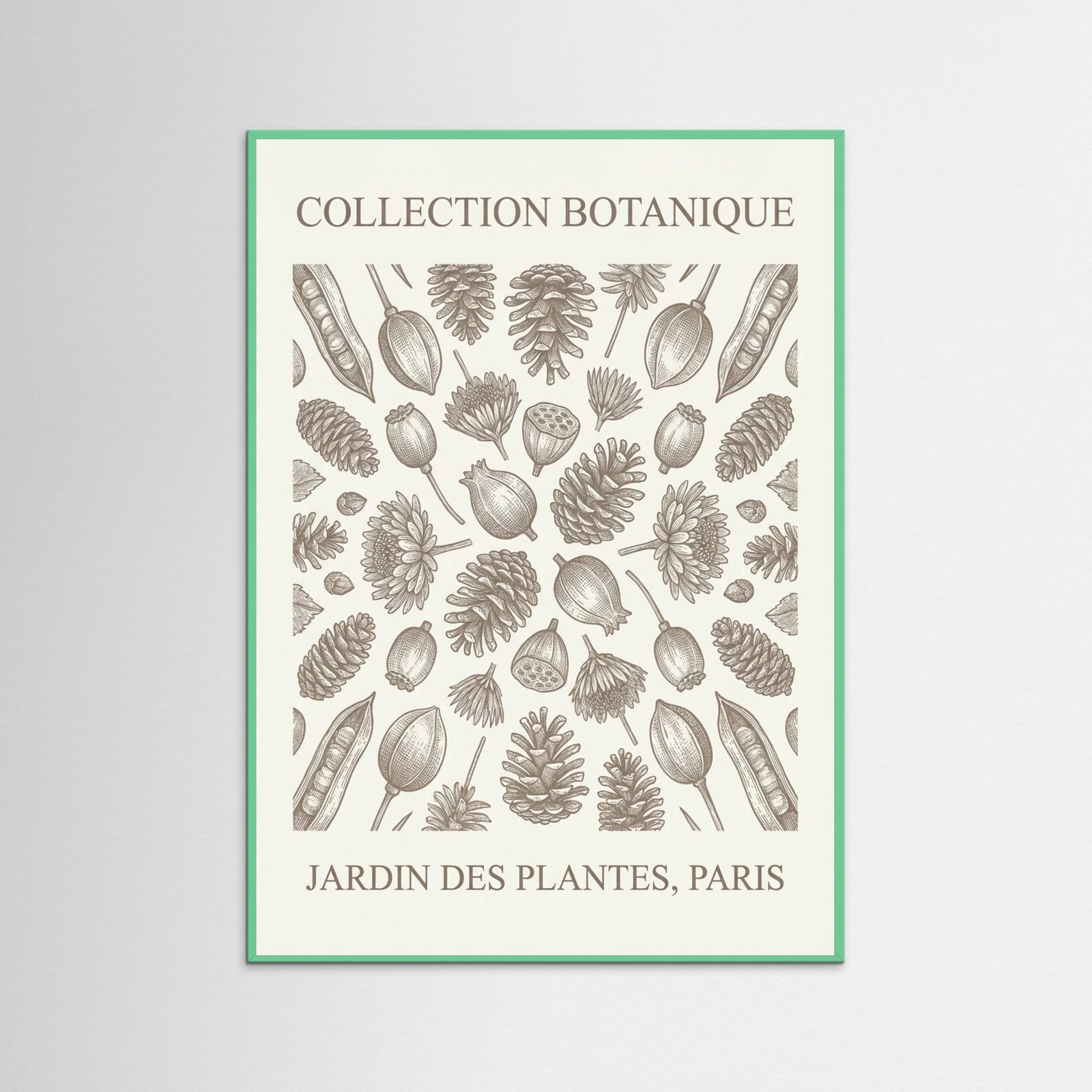 Mint Wood Botanical Etchings