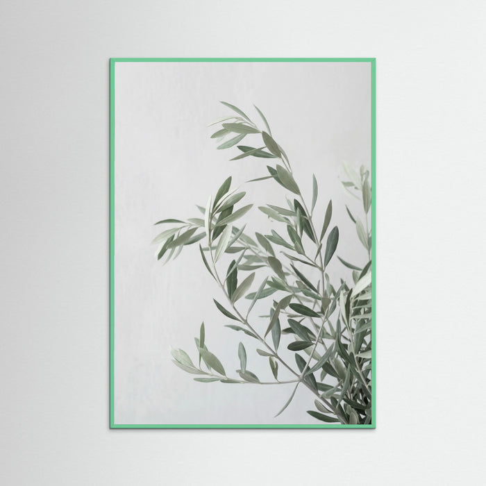 Mint Wood Botanical Grace